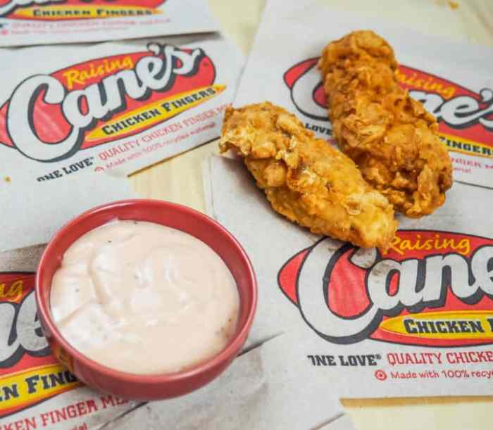 Raising cane's dipping sauce recipe