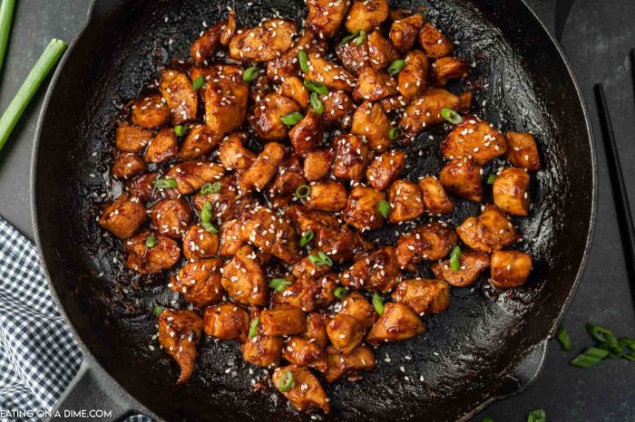 Hoisin sauce chicken recipe